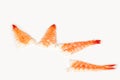 Orange shrimp Royalty Free Stock Photo