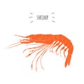 Orange shrimp vector logo isolated on white background
