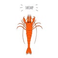 Orange shrimp vector logo isolated on white background