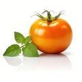 Orange single realistic shiny tomato on white background. AI generative illustration