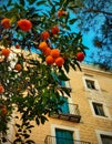 Orange skies in Spain village