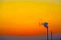 The orange sky and chimney after sunset