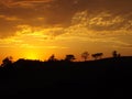 Orange sky line on sunrise countryside