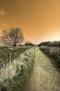 Orange sky sunrise over coastal country path.