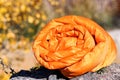 Orange sleeping bag on blurred background. Royalty Free Stock Photo