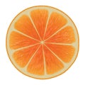 Orange Slice