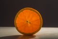 Orange Slice - Backlit