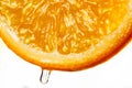 orange slice with a drop of water close up Royalty Free Stock Photo