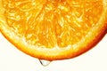 orange slice with a drop of water close up Royalty Free Stock Photo