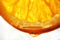 orange slice with a drop of water close up Royalty Free Stock Photo