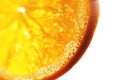 orange slice with a drop of water close up Royalty Free Stock Photo