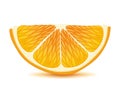 Orange slice. Juicy citrus illustration.