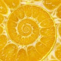 Orange slice spiral swirl abstract fractal background. Orange slice spiral background pattern. Impossible abstract orange food Royalty Free Stock Photo