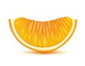 Orange slice. Juicy citrus illustration.