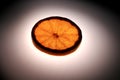 Orange slice on a white spot background Royalty Free Stock Photo