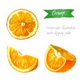 Orange slices isolated watercolor illustrationn