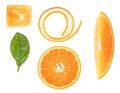 Orange slices, orange leaf and orange peel isolated on white background, top view. Vitamin C. Detox conception Royalty Free Stock Photo
