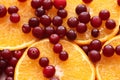 Orange slices and red cranberries Royalty Free Stock Photo