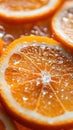 Orange slices with sparkling water droplets, macro Royalty Free Stock Photo