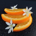 Orange slices with water drops and flowers on a black background Royalty Free Stock Photo