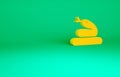 Orange Snake icon isolated on green background. Minimalism concept. 3d illustration 3D render