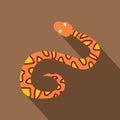 Orange snake with yellow spots icon, flat style