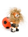 Orange soccer ball and lion