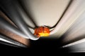 Orange socket box in drywall with wires in a protective corrugated pipe. Fixing a socket in a plasterboard frame wall