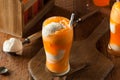 Orange Soda Creamsicle Ice Cream Float Royalty Free Stock Photo