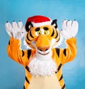 Orange soft tiger in a red santa claus hat on a blue background. Birthday and New Years 2022 concept