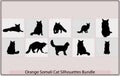 Orange somali cat silhouette,Orange somali cat silhouette bundle,Orange somali cat illustration,