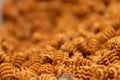 Orange Spiral Homemade Pasta shells Royalty Free Stock Photo