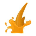 Orange splashe vector icon