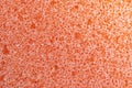 orange sponge detail texture, sponge texture background. Closeup macro Royalty Free Stock Photo