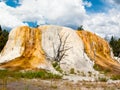 Orange Spring Mound at Yellowstone NP