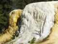 Orange Spring Mound, Yellowstone Royalty Free Stock Photo