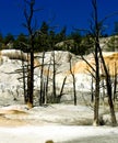 Orange Spring Mound, Yellowstone Royalty Free Stock Photo