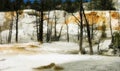 Orange Spring Mound, Yellowstone Royalty Free Stock Photo