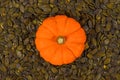 Orange squash surrounded by green pumpkin seeds Royalty Free Stock Photo