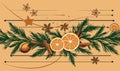 Orange, star anise and cinnamon vector background
