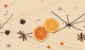 Orange, star anise and cinnamon vector background