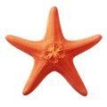 Orange starfish cut out on a transparent background. The orange starfish is suitable as an element of underwater life.