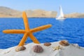 orange starfish with ocean, on white sand beach, sky and seascape Royalty Free Stock Photo