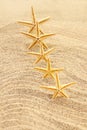 Orange starfish in row on sand of beach. Vertical. Travel, vacation, summer background in hot countries