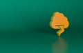 Orange Storm icon isolated on green background. Cloud and lightning sign. Weather icon of storm. Minimalism concept. 3D