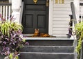 Orange striped cat lying on porch