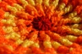 Orange Sun textured fabric background