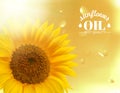Orange sunflower with oil background. Royalty Free Stock Photo