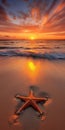 Orange Sunrise: Fine Art Photography Of Starfish And Sunset At The Beach Royalty Free Stock Photo