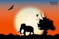 Orange sunrise in the jungle with old tree, birds and elephant